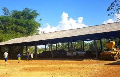 Imagem 5: Linda fazenda medindo 200 hectares, escriturada