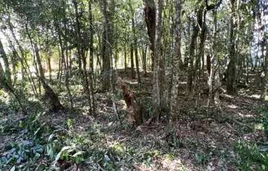 Imagem: A fazenda possui 1.100m² de Área e está localizado em Fazenda