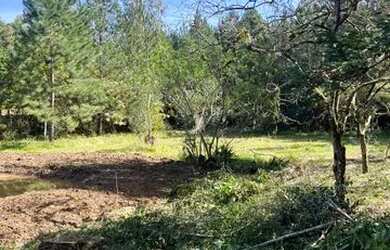 Imagem 5: Sítio Com Açude Em Condomínio Fechado. ROB 699