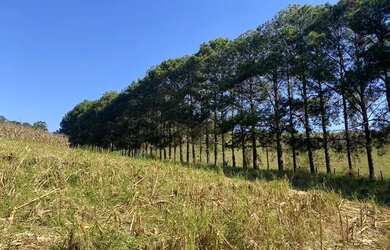 Imagem 7: Lote/Terreno para venda possui 500 metros quadrados em Usina - Atibaia...