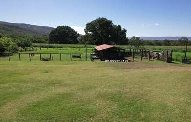 Imagem 4: Vende-se Fazenda em Buritis MG, 180km de Brasília - Um Paraíso de 159...