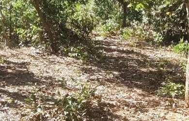 Imagem 3: Terreno. 1.600m² de Área