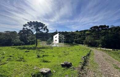 Imagem 9: Área rural com 67 ha, casas, açude e pinus