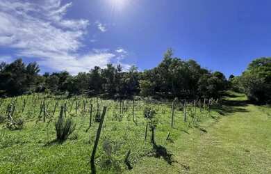 Imagem 12: Sítio - Bairro Linha Nova