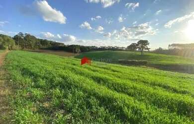 Imagem: A fazenda possui 114.345m² de Área e está localizado em