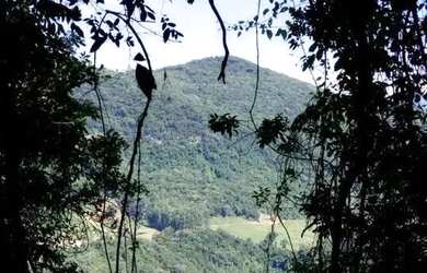 Imagem 2: Sítio / Chácara para Venda em Nova Petrópolis, Linha Olinda