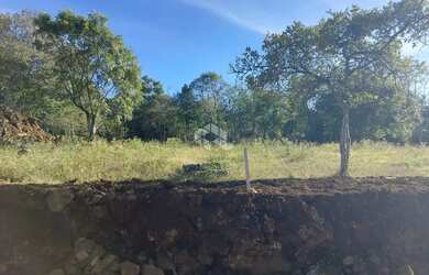 Imagem 14: Loteamento em Gramado. Imóvel novoe1.640m² de Área