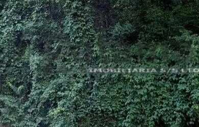 Imagem 3: Descrição Terreno / Lote / Condomínio à venda - Fazenda Morumbi