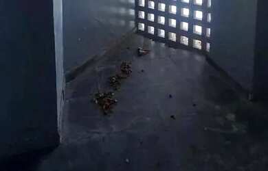 Imagem 9: Alugo casarão. 400m² de Área, 5 Vagas na garageme5 Dormitórios