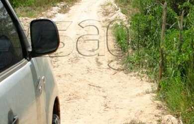 Imagem 8: Fazenda à venda, 270 Hectares por R$ 3.500.000 - Região de Mamanguape-PB