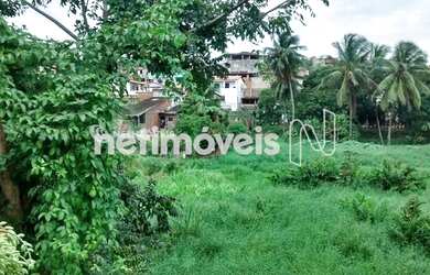 Imagem 16: Venda Lote-Área-Terreno Mussurunga I Salvador