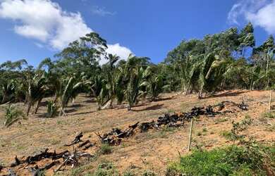 Imagem 10: Vendo Terreno em Santa Teresa - Vista Mais Bonita do Caravaggio - 33mil...