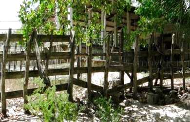 Imagem 4: Fazenda à venda, 270 Hectares por R$ 3.500.000 - Região de Mamanguape-PB