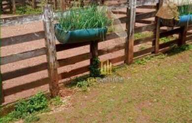 Imagem 1: Fazenda à venda, 2.487 hectares por R$ 51.000.000 - Quinhão B - Barro Alto/GO