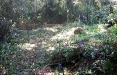 Imagem 11: Caraguatatuba - Loteamento/Condomínio - Park Imperial