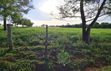 Imagem: A fazenda possui 10.420.000m² de Área e está localizado