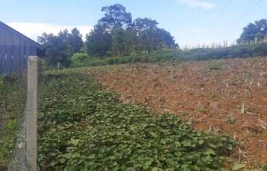 Imagem 13: Sítio para Venda em Taquara, Fazenda Fialho