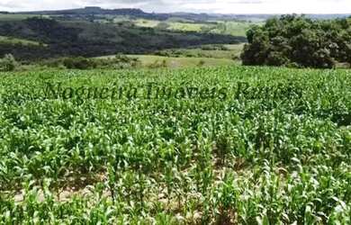 Imagem 9: Fazenda com 129 alqueires em Bofete - SP Nogueira Imóveis Rurais