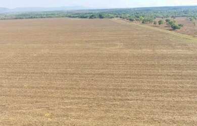 Imagem: A fazenda e está localizado em Plano Diretor Sul, Palmas à