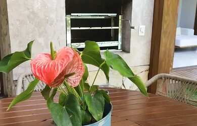 Imagem 6: Casa à venda no PRAIA BELLA , PRAIA DO FORTE, Mata de São João, BA