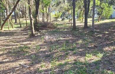 Imagem 9: Terreno em São Virgílio, Caxias do Sul