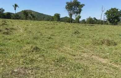 Imagem 8: Fazenda em Paracatu MG de 213 hectares com 70 hectares de área plana...