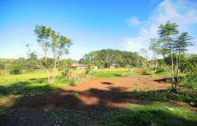 Imagem 4: Chácara à venda, Aparecidinha - Foz do Iguaçu/PR