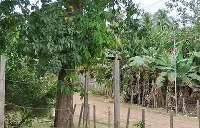 Imagem: O terreno possui 300m² de Área e está localizado em Nova