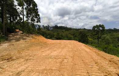 Imagem: A fazenda possui 20.003m² de Área e está localizado em Centro