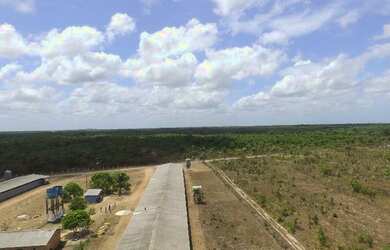 Imagem 9: R$5 milhões de reais 3 galpão granja 75 mil frangos em pleno funcionamento...