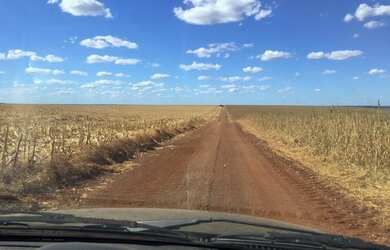 Imagem 4: Fazenda em Divinopolis. Lavoura