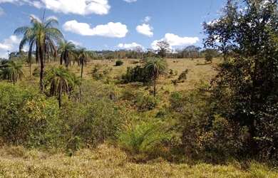 Imagem: O terreno e possui Dormitórios, Suítes, Banheiros está