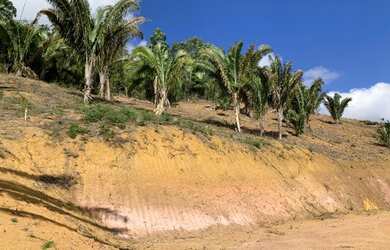 Imagem 6: Vendo Terreno em Santa Teresa - Vista Mais Bonita do Caravaggio - 33mil...