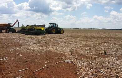 Imagem 10: Fazenda em Divinopolis. Lavoura