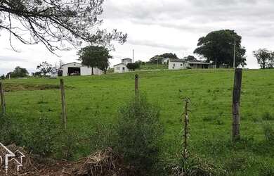 Imagem 8: Santana da Boa Vista - Fazenda - Zona rural