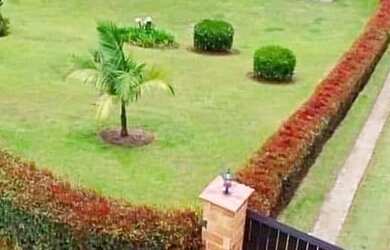 Imagem: A fazenda possui 6.000m² de Área e está localizado em Santana