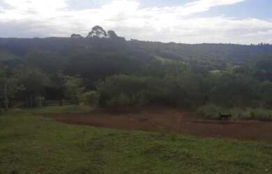 Imagem 12: Sítio para Venda em Taquara, Fazenda Fialho