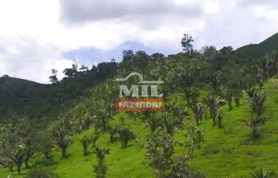 Imagem 8: Fazenda 337 Alqueires 1.638 Hectares Niquelandia - Go