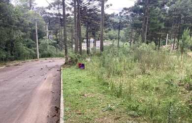 Imagem 6: Terreno - Bairro Dutra. 540m² de Área