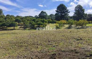 Imagem 8: TERRENO EM GRAMADO. 800m² de Área