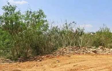 Imagem 6: TERRENO - JARDIM JUREMA - SP