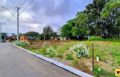 Imagem 2: Terreno para Venda em Nova Petrópolis, Logradouro