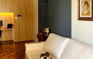 Imagem 7: Apartamento de 2 dormitórios a venda em Florianópolis