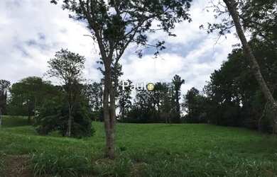 Imagem 13: Terreno à venda em Jaguariúna, Fazenda Duas Marias, com 5350 m², Fazenda...