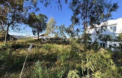 Imagem 7: TERRENO EM LOTEAMENTO JUNTO DA NATUREZA E VISTA
