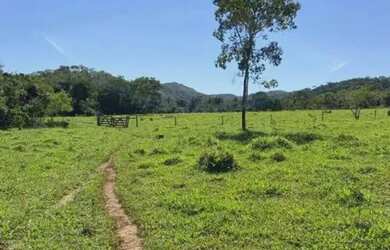 Imagem: A fazenda possui 2.130.000m² de Área e está localizado em