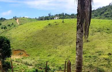 Imagem 10: Vendo maravilhosa fazenda no município de itiuba
