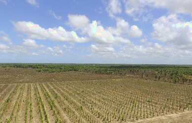 Imagem 6: R$5 milhões de reais 3 galpão granja 75 mil frangos em pleno funcionamento...