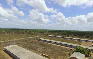 Imagem 5: R$5 milhões de reais 3 galpão granja 75 mil frangos em pleno funcionamento...