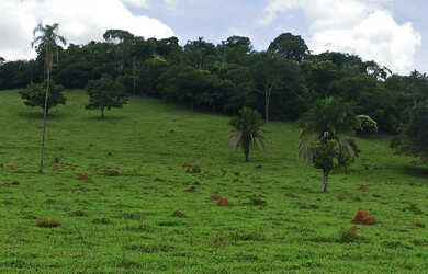 Imagem: A fazenda à venda possui e está localizado em Ouro Verde